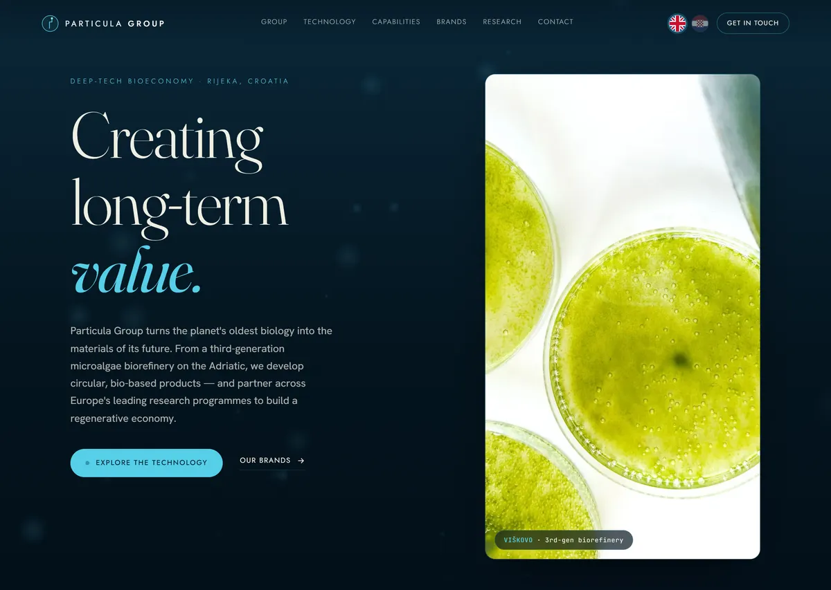 Скриншот сайту Particula Group — концепт RedCatWeb